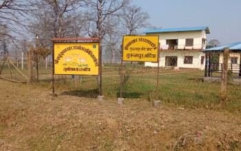 कृष्णसार संरक्षणकर्मीले झुण्डाएर बिभत्स तरिकाले कुकुर मारेको भन्दै अधिकारकर्मीहरुको आपत्ति 